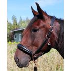 Equitare Elegant Rose Nahkariimu