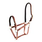 Star Tack Pro Biothane riimu topattu 19 mm turvalta avattava pikalukolla