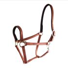 Star Tack Pro Biothane riimu topattu 19 mm turvalta umpinainen