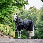 Horseware Amigo 1200D Plus 100 g ulkoloimi