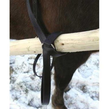 Setolkkaremmi kotimainen