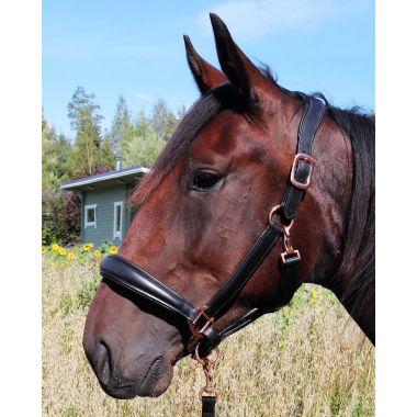Equitare Elegant Rose Nahkariimu