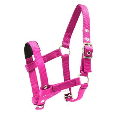 Equitare Pro Nailonriimu Mini