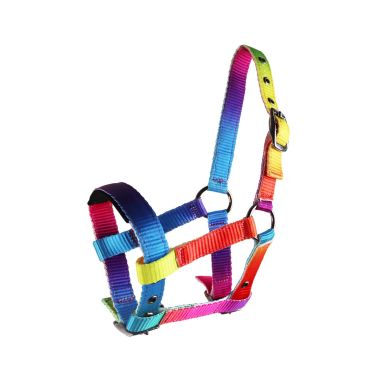 Equitare Multicolor Nailonriimu Mini