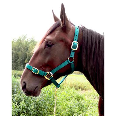 Equitare Pro Nailonriimu turvalta avattava