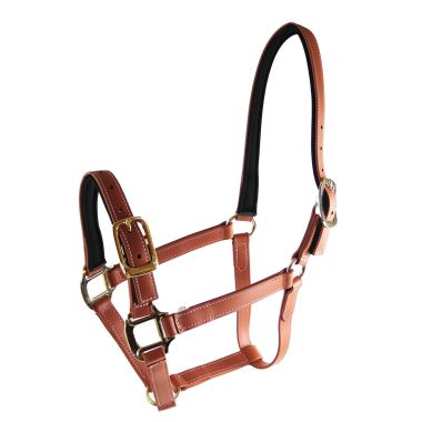 Star Tack Pro Biothane riimu topattu 25 mm turvalta avattava