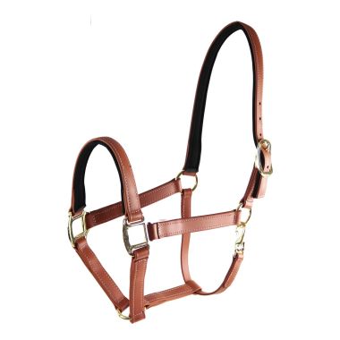 Star Tack Pro Biothane riimu topattu 25 mm turvalta umpinainen
