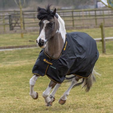 Bucas Irish Turnout Light 50 Classic sadeloimi ponille