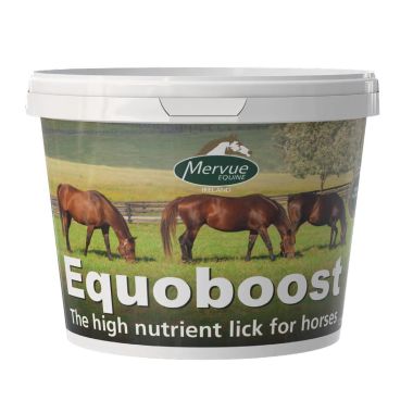 Mervue Equine Equoboost Mineraalikivi ämpärissä 12,5 kg