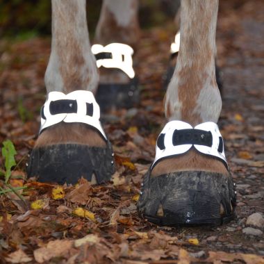 Flex Hoof Boots Neopreenipehmuste heijastava kpl