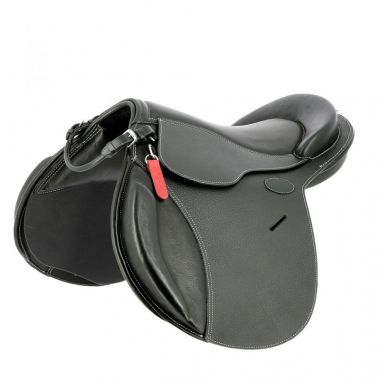 Guy Cantin Evolution Jumping Ponisatula