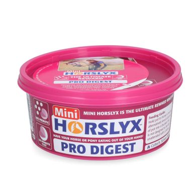 Horslyx Pro Digest nuolukivi 650 g