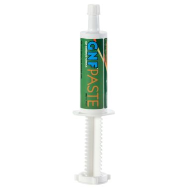 TRM GNF Paste 80 g tuubi