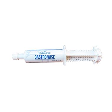 Gastro Wise 60 g annosruisku
