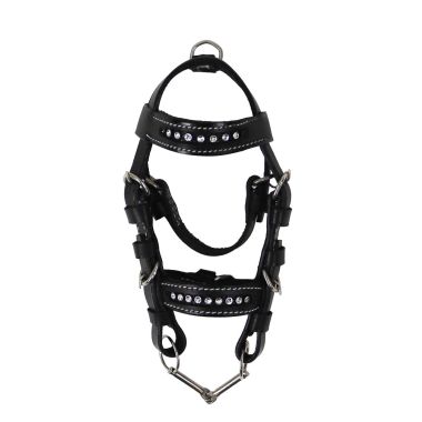 Equitare Minisuitset