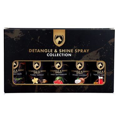 Excellent Detangle & Shine Spray Lahjapakkaus kiillokkeet