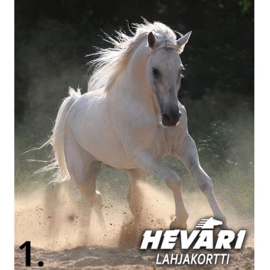 Hevari Lahjakortti Sähköinen
